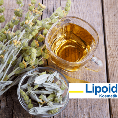 Lipoid Kosmetik AG Launches Mountain Tea Pro – The Night-Time Remedy for Skin Recovery