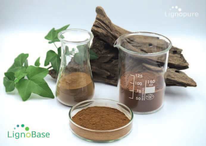 Lingopure LignoBase