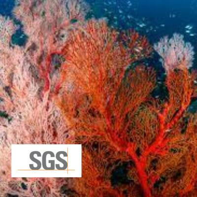 EC_SGS_ReefTox