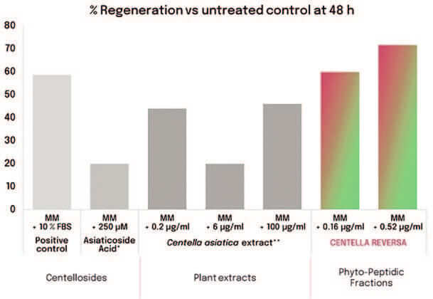 EURO COSMETICS Magazine • Plant-derived Peptides and Biotechnology • Ò. Expósito and M. Buchholz • Ò. Expósito and M. Buchholz