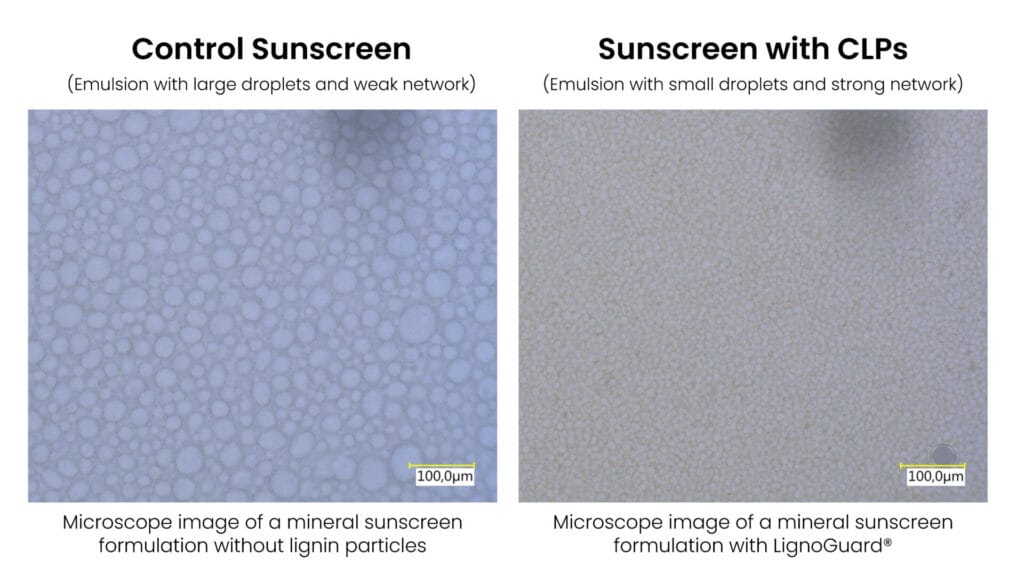 EURO COSMETICS Magazine • Boosting SPF with Lignin • Lignovations • Lignovations