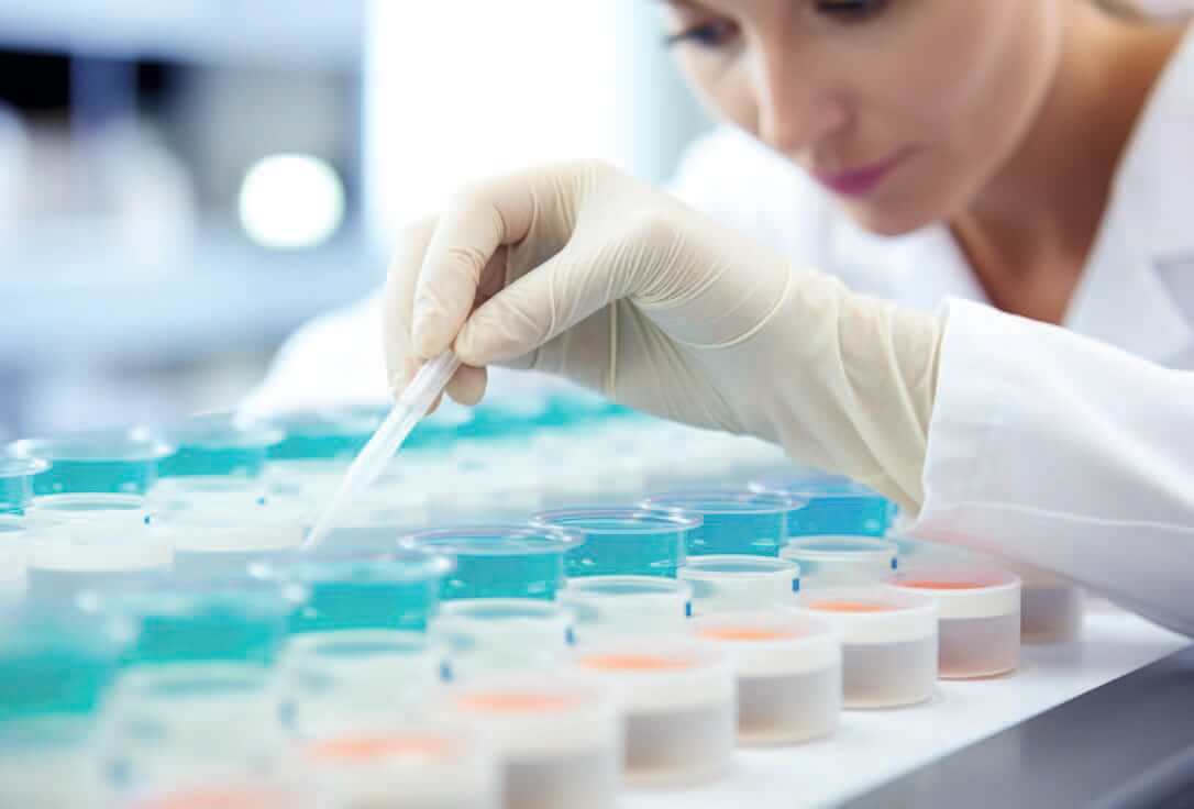 EURO COSMETICS Magazine • The Role of Toxicological Databases in the Era of New Approach Methodologies • Euro Cosmetics • Euro Cosmetics