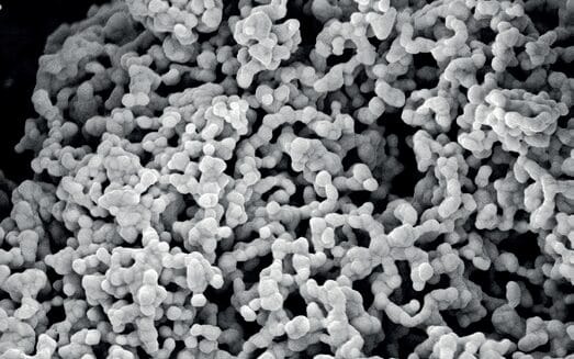 EURO COSMETICS Magazine • MicroSilver BG™ - A microbiome supportive skin conditioner withantimicrobial properties • Euro Cosmetics • Euro Cosmetics