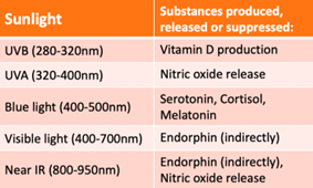 EURO COSMETICS Magazine • Sunlight, the Neuro-Cosmetic for free! • Euro Cosmetics • Euro Cosmetics