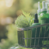 Herbal Beauty Products Market, Redefining Natural Skincare for a Sustainable Future