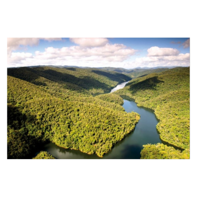 IFF and Reservas Votorantim sign bioprospecting partnership in Brazil