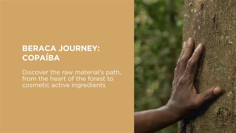 EURO COSMETICS Magazine • Clariant - From Amazon rainforest to cosmetic excellence: The sustainable journey of Copaíba Oil • Euro Cosmetics • Euro Cosmetics